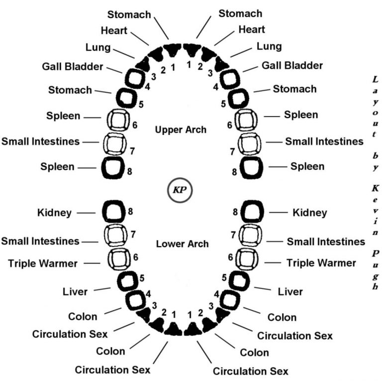 Energy and health are affected by the meridians in your mouth